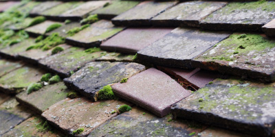Little Shelford roof repair costs